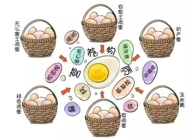 遍尋菜譜收集的雞蛋7中新吃法，第2中最好，第7中最營養(yǎng)